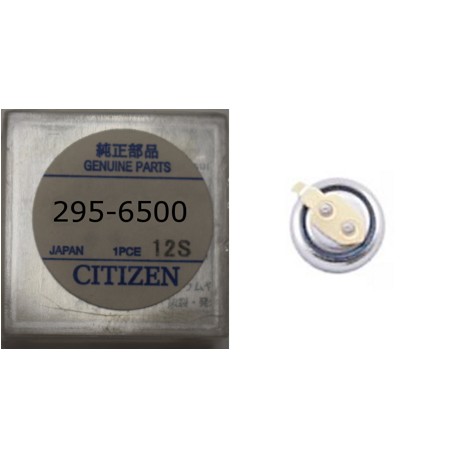 ACUMULADOR CITIZEN 295-65